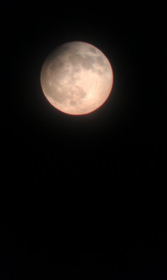 Наши фотографии Луны. 31 Январь 2014 21:18