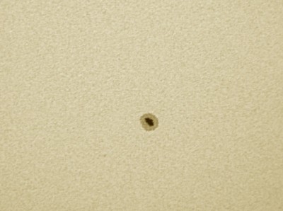 Астрофото планет и Солнца на апертуры до 100 мм. 07 Август 2017 17:28 первое