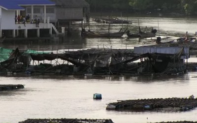 Дом. История путешествия (Home) 31 Август 2015 08:37 восьмое Дом. История путешествия (Home) 31 Август 2015 08:37 восьмое