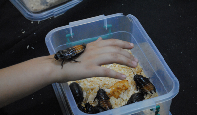 Отчёт: научный пикник в Харькове 27.09.15 12 Ноябрь 2015 11:00 четвертое Отчёт: научный пикник в Харькове 27.09.15 12 Ноябрь 2015 11:00 четвертое