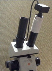 самопальный адптер для usb камеры и мбс-10 11 Январь 2017 22:05 второе самопальный адптер для usb камеры и мбс-10 11 Январь 2017 22:05 второе